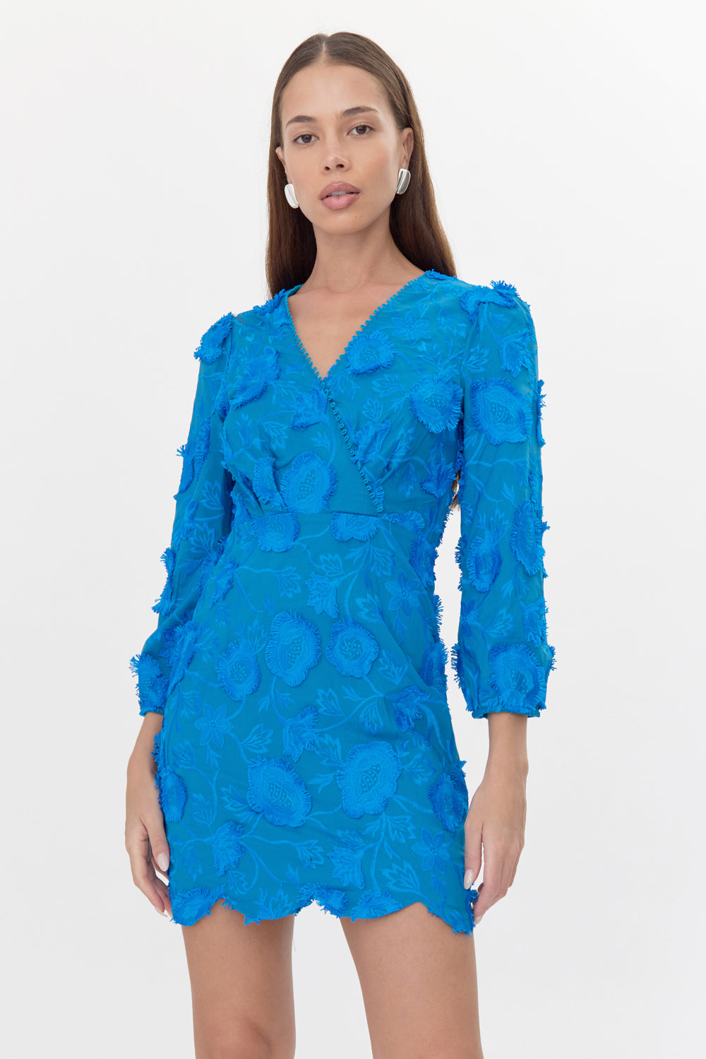 Danica 3D Embroidered Scalloped Mini Dress