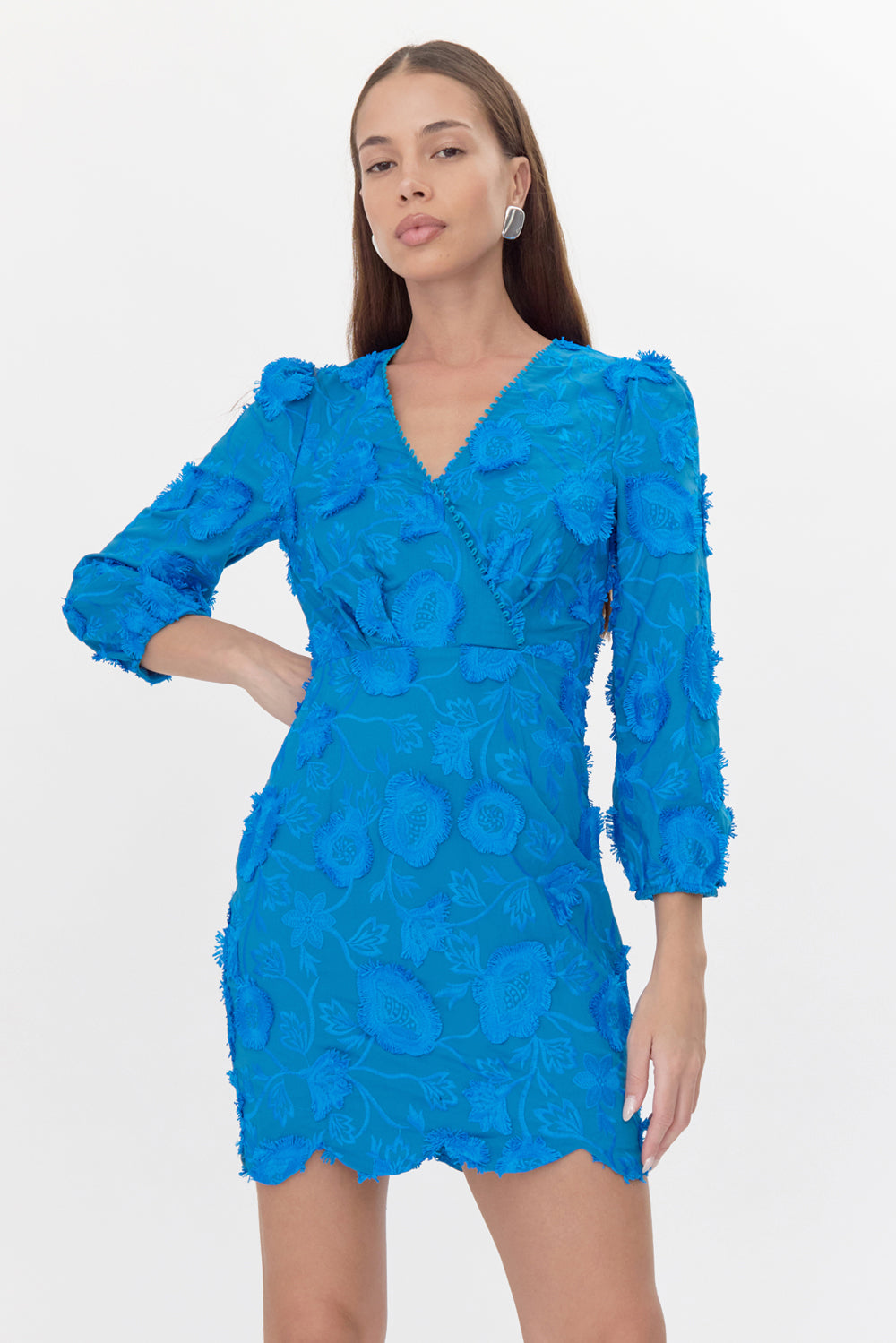 Danica 3D Embroidered Scalloped Mini Dress