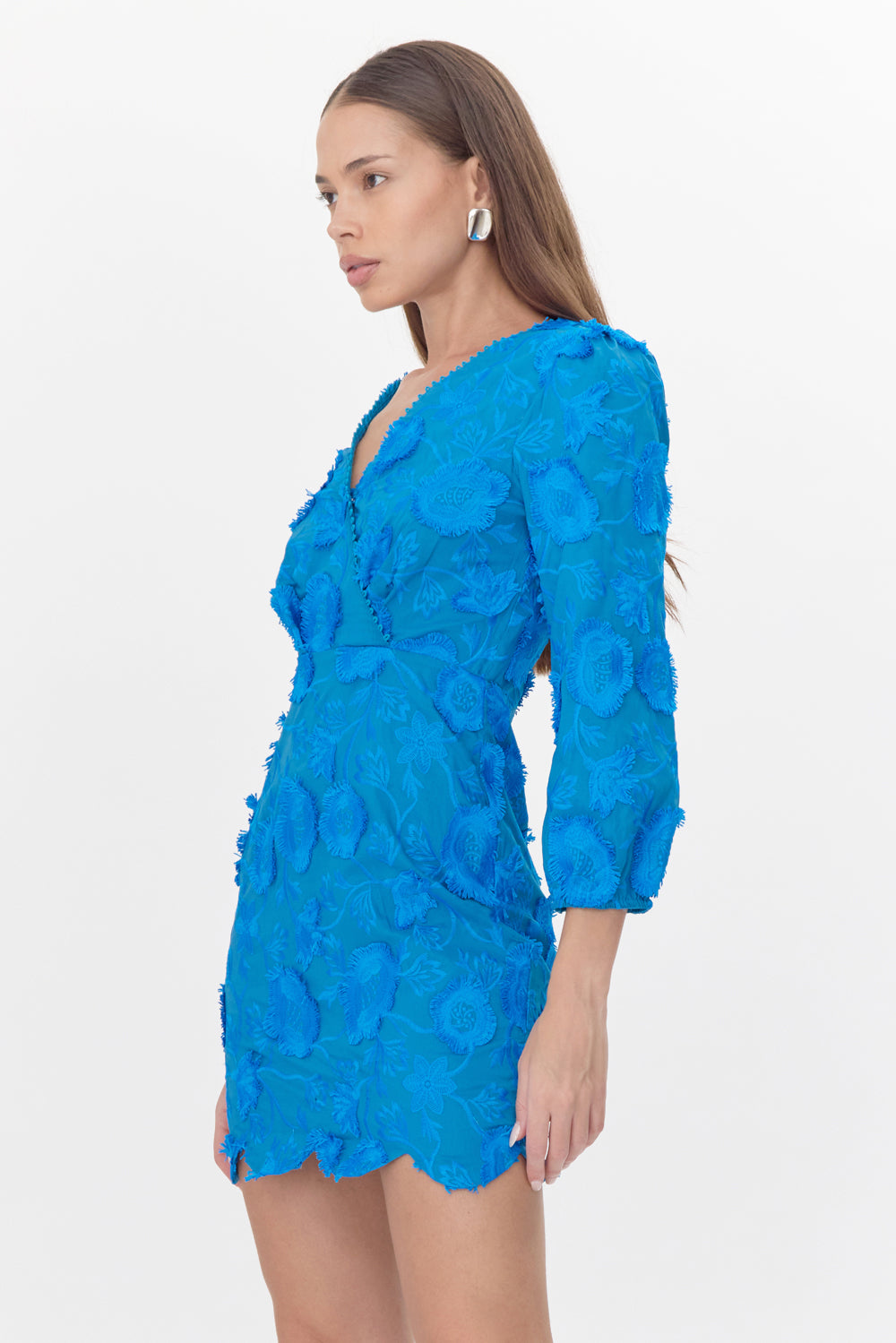 Danica 3D Embroidered Scalloped Mini Dress