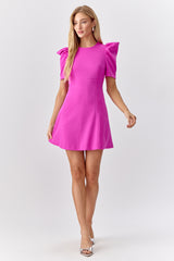 Gretchen Puff Sleeve Fit and Flare Dress