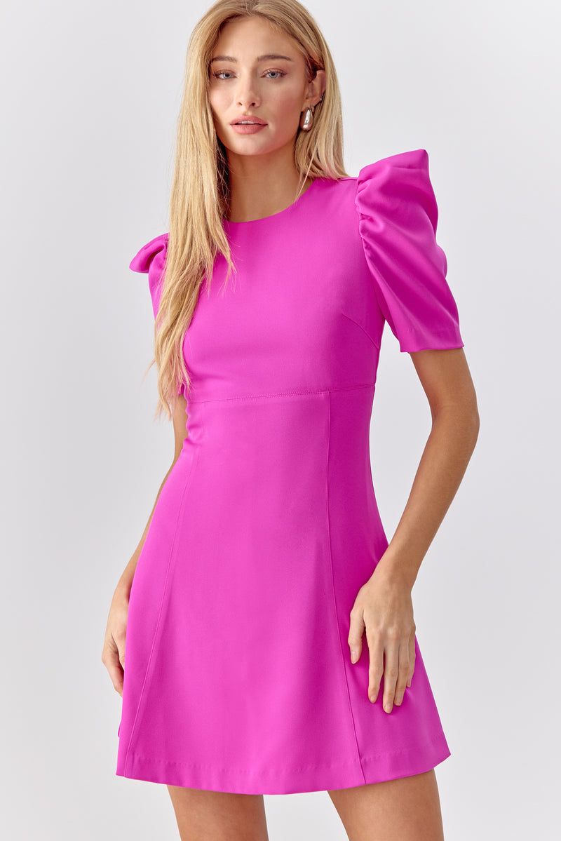 Gretchen Puff Sleeve Fit and Flare Dress