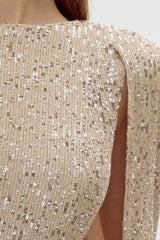 Maddy Sequin Bodycon Dress